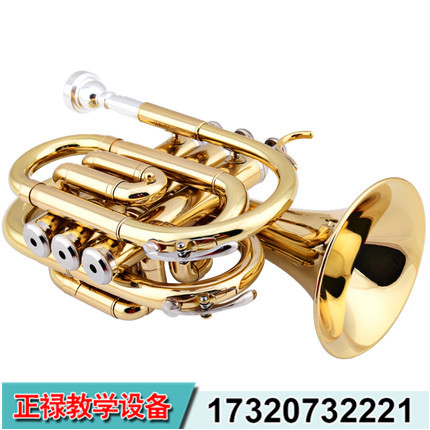 ZL-手掌號，便攜式小號