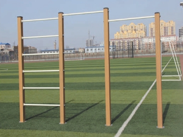 ZL-肋木高低雙杠組合